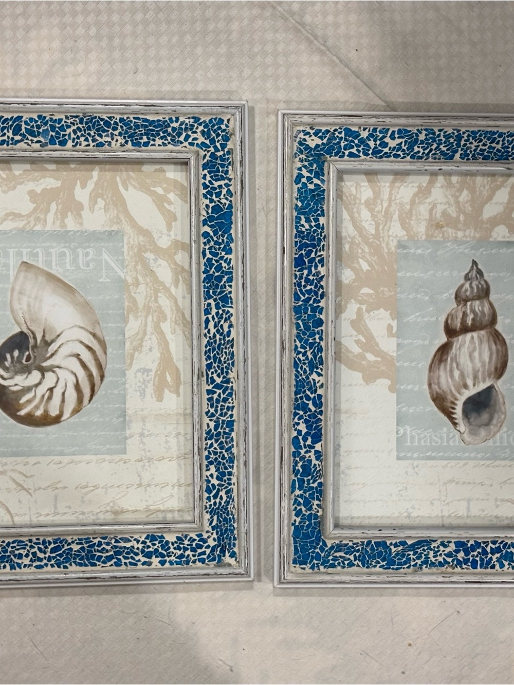 Source Unknown Blue Crackle Frame Seashell Print Pair